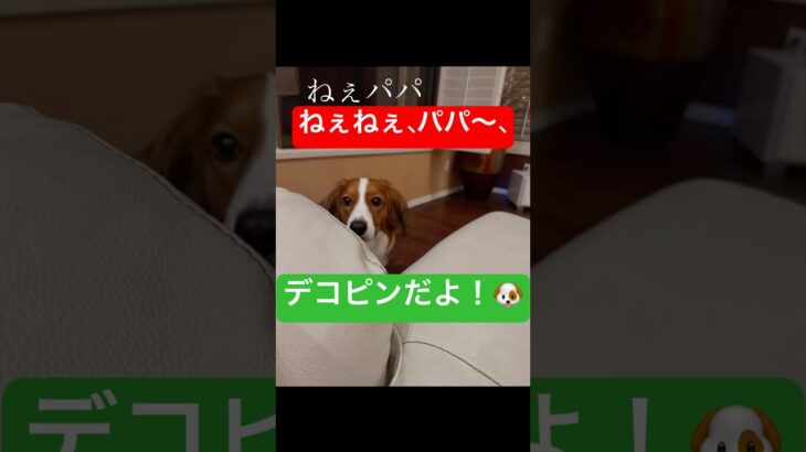 #デコピン #大谷翔平 #shorts#trending