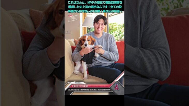 【4度目MVP】大谷翔平　驚きの雑学4選