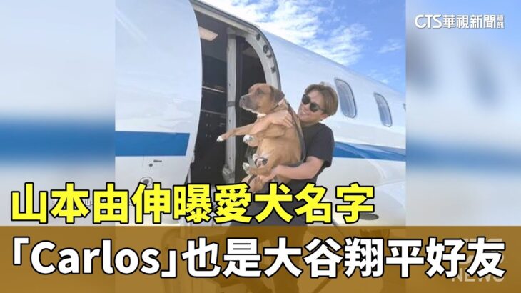山本由伸曝愛犬名字　「Carlos」也是大谷翔平好友｜華視新聞 20251116 @CtsTw