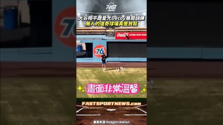 大谷翔平跟愛犬Decoy展開訓練無人的道奇球場真是放鬆 #大谷翔平 #Decoy #Dodgers #道奇 #mlb #大聯盟 #ohtani #棒球 #娛樂 #時事 #興趣 #運動
