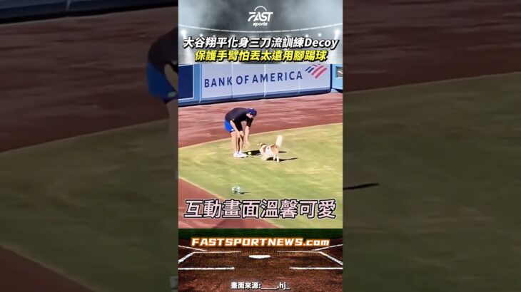 大谷翔平化身三刀流訓練Decoy保護手臂怕丟太遠竟是用踢球的 #大谷翔平 #Decoy #ohtani #道奇 #mlb #大聯盟 #三刀流 #運動 #娛樂 #時事 #興趣