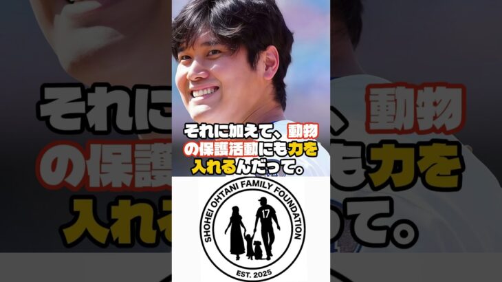大谷翔平、家族の名を冠した財団を設立🔷大谷翔平 ＆ MLB最新ニュース#大谷翔平 #ドジャース #MLB」