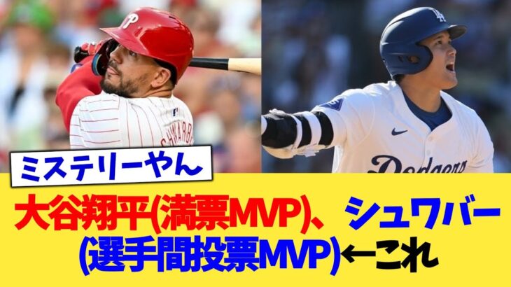 大谷翔平満票MVP、シュワバー選手間投票MVP←これ【なんJ プロ野球反応集】【2chスレ】【5chスレ】