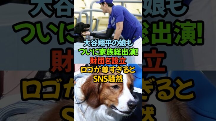大谷翔平、ついに“家族総出演”の財団を設立！ロゴが尊すぎるとSNS騒然#大谷翔平 #真美子夫人 #デコピン #大谷翔平ファミリー財団 #MLB #いい夫婦の日