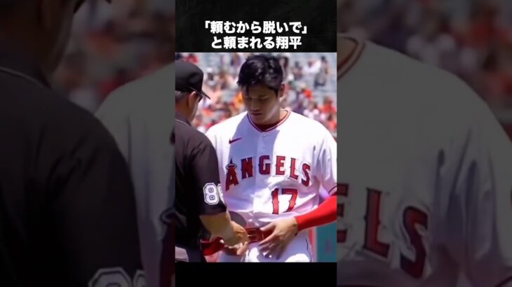 日本のためにWBC出てくれ大谷翔平 #大谷翔平 #ドジャース #野球 #メジャーリーグ