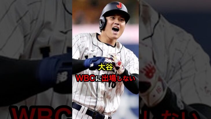 大谷、WBCに出場しない #日本人 #大谷翔平 #大谷