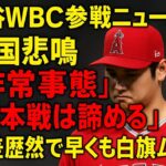 大谷WBC参戦ニュースに韓国悲鳴「非常事態」「日本戦は諦める」 格差歴然で早くも白旗ムード