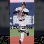 大谷のWBC出場に韓国がハッキリ言う…その内容がヤバい😳🔥
