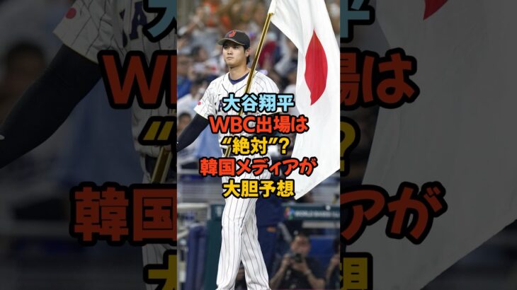 大谷翔平、WBC出場は“絶対”!? 韓国メディアが大胆予想#大谷翔平 #WBC #出場確実 #ドジャース #野球 #MVP #スポーツニュース
