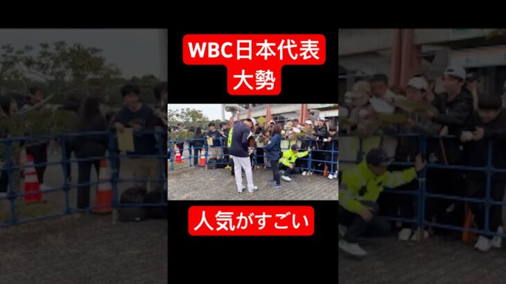 【プロ野球】WBC日本代表 巨人大勢の人気がすごい❗️ #野球 #wbc #大勢 #巨人 #読売ジャイアンツ