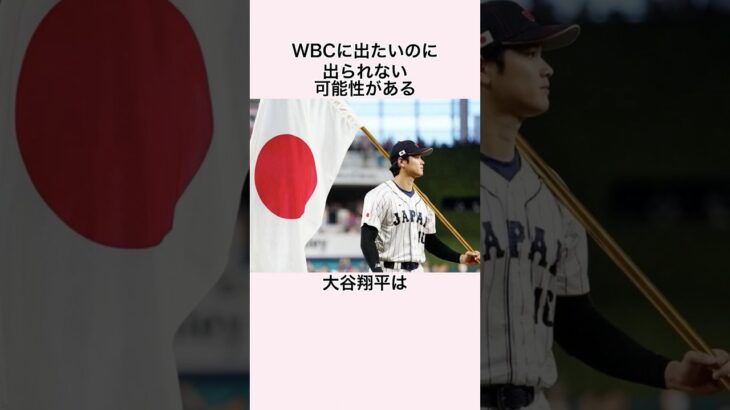 「WBCに出場できない可能性がある」大谷翔平に関する雑学 #プロ野球 #メジャーリーグ #ドジャース #大谷翔平 #ロバーツ監督 #wbc #wbc日本代表