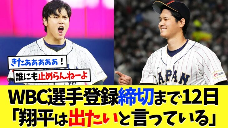 大谷翔平がWBC出場に意欲、締切は残り12日…【海外の反応】【プロ野球】【野球】【なんｊ】【なんj】【5ch】【2ch】【甲子園】【MLB】