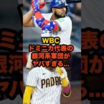 来春WBC、日本の前に立ちはだかる“銀河系軍団”ドミニカ代表がヤバすぎる…#WBC #野球 #ドミニカ #MLB #ドミニカ代表 #タティスジュニア #ゲレロジュニア