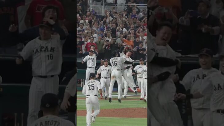 😍🙌 經典畫面❤️大谷翔平三振麥克特勞特，贏得世界棒球經典賽！🙌 🙌  #大谷翔平 #baseball #世界棒球經典賽