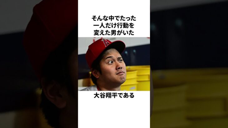 「ベンチの常識を覆した」 大谷翔平についての雑学 #大谷翔平 #ドジャース #mlb