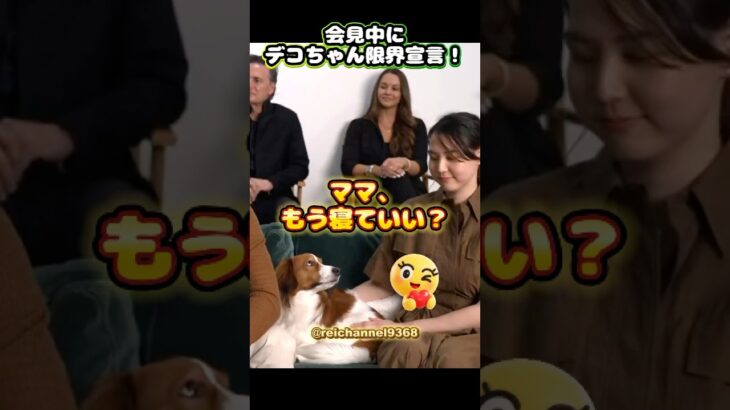 【大谷翔平】会見中にデコちゃん限界宣言！『ママ、もう寝ていい？』🐕😍 #shorts #mlb #大谷翔平