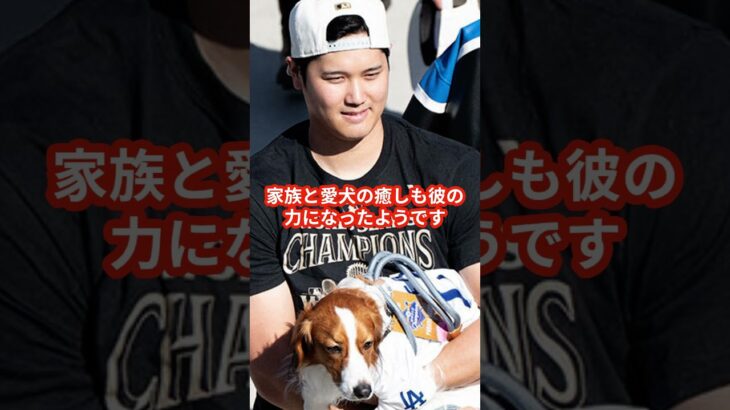 大谷翔平、トロントの夜空の下でデコピンと再会！ファン歓喜瞬間