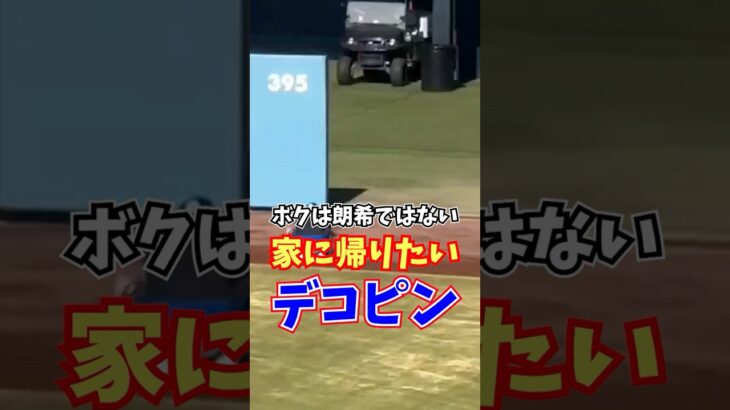 デコピン 家に帰りたい 大谷翔平パパの佐々木朗希同等な扱いでトレーニング