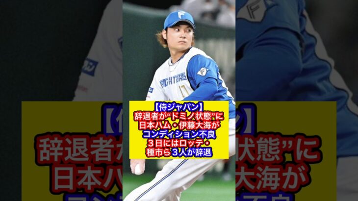 【侍ジャパン】辞退者が“ドミノ状態”に　日本ハム・伊藤大海がコンディション不良　３日にはロッテ・種市ら３人が辞退（スポーツ報知より抜粋）#wbc #侍ジャパン #野球