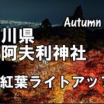 神奈川県「大山阿夫利神社」紅葉ライトアップ2022