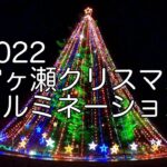 2022 宮ヶ瀬クリスマスイルミネーション