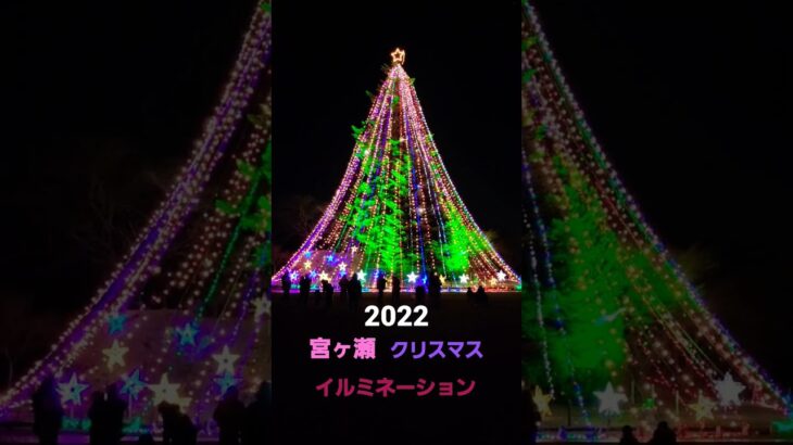 2022年　神奈川県　　　　　宮ヶ瀬　クリスマス　巨大ツリーイルミネーション　　　　　　　　#イルミネーション　　　　　 　#クリスマス 　#神奈川県