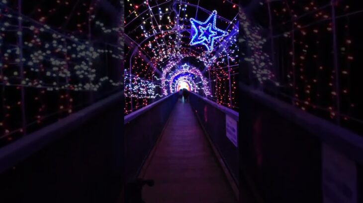 神奈川県　宮ケ瀬　　　クリスマスイルミネーション　大吊り橋　　 #イルミネーション 　 #神奈川県 　#宮ケ瀬 　#クリスマス 　#大吊り橋　#みやがせ