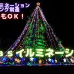【クリスマスイルミ】神奈川県のイルミネーションランキング上位常連スポット宮ヶ瀬 湖畔園地・宮ヶ瀬水の郷商店街に行った犬（チワプー）と夫婦