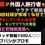 2024年 マニラ空港警察が旅行者を…！マラテで事件！15歳未満の妊娠！セブで事件多発！日本人逃亡犯！小倉クラッチ！セブパシプロモ！【フィリピンニュース】