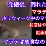 2024年 フィリピン　マニラ　マラテ‼️ マラテの真実。ホリウィークのマラテの街を徘徊‼️リカーバンでアルコール提供が規制されてる中，何軒のお店がやっているのか？