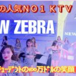 2024年 マラテ人気NO1「NEW ZEBRA」