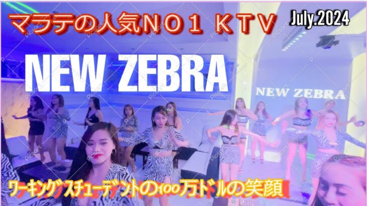 2024年 マラテ人気NO1「NEW ZEBRA」