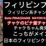 2024年 11月に日本に帰った時にフィリピンフェスタが亀有で開催されてた様子と日本のフィリピンクラブに行ってきました。参考にして下さい。