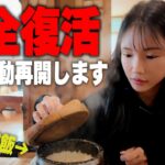 2024年 【韓国最強飯更新】コス完全復活で韓国カジノ最強飯を食べながら動画投稿お休みしていた理由とフィリピンの生活＆ポーカーについて話しました