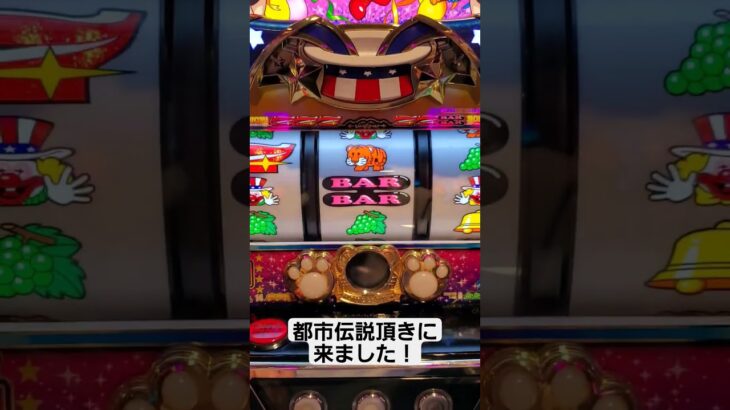 フィリピンパブのお姉ちゃんにコゼ6譲って貰った💁 #ジャグラー #パチスロ