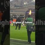 Brighton vs Fulham, Mitoma, Caicedo, Estupiñan, Sarmiento