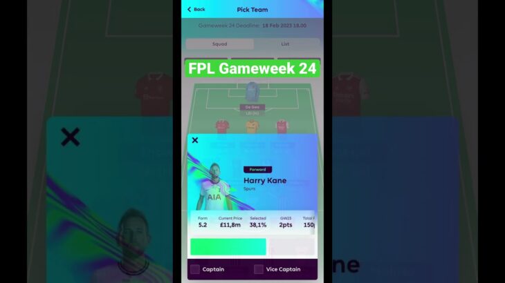 FPL GAMEWEEK 24; HAALAND KANE TONEY MAHREZ RASHFORD SHAW KILMAN MITOMA ODEGARD