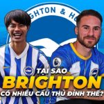 VÌ SAO BRIGHTON LẠI CÓ NHIỀU CẦU THỦ ĐỈNH NHƯ VẬY? | MITOMA, MAC ALLISTER, TROSSARD