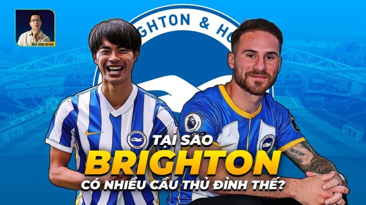 VÌ SAO BRIGHTON LẠI CÓ NHIỀU CẦU THỦ ĐỈNH NHƯ VẬY? | MITOMA, MAC ALLISTER, TROSSARD