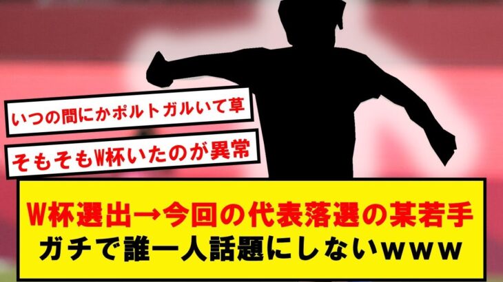 三笘を押しのけ代表スタメンだった26歳若手、本当に誰も話題にしないwwww【2chサッカースレ】