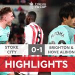 Mitoma & Ferguson Link Up Sends Brighton Through | Stoke City 0-1 Brighton | Emirates FA Cup 2022-23