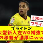 【ついに】ブライトン、三笘の後釜に大型新人補強で移籍濃厚にｗｗｗｗ【2chサッカースレ】