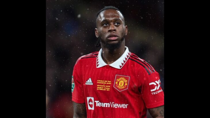 Wan bissaka pocketed Mitoma