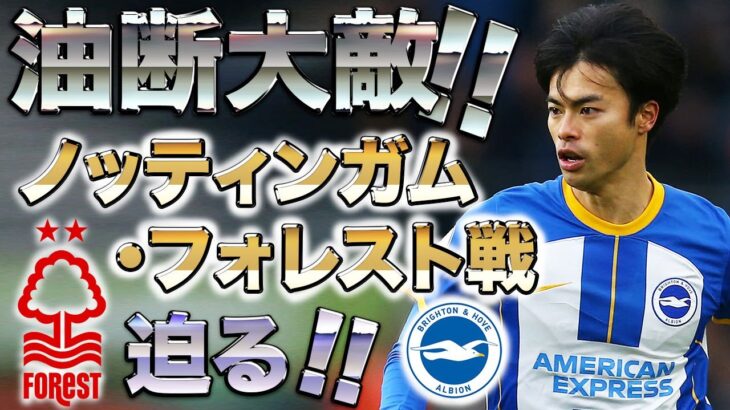 【三笘薫】ブライトンの次なる相手「ノッティンガム・フォレスト」を知って戦いの士気を上げろ!!【油断大敵】