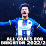 Kaoru Mitoma All GOALS for Brighton 2022/23