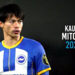 Kauro Mitoma 2023 • Crazy Skills & Goals |HD