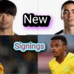 I signed Kauro Mitoma ,Miguel almiron,Ashley du Preez Teboho Mokoena in fifa 23