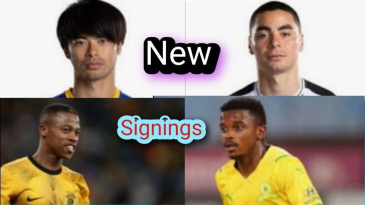 I signed Kauro Mitoma ,Miguel almiron,Ashley du Preez Teboho Mokoena in fifa 23