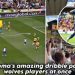 🤯Brighton fan’s crazy reaction to Mitoma’s crazy solo run goal againts Wolves 🔥