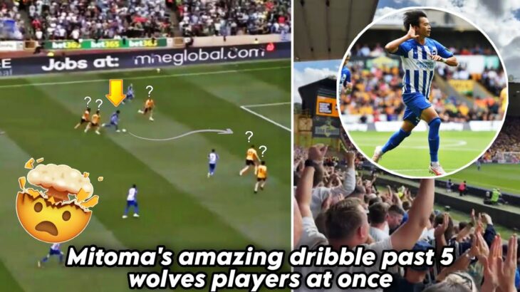 🤯Brighton fan’s crazy reaction to Mitoma’s crazy solo run goal againts Wolves 🔥